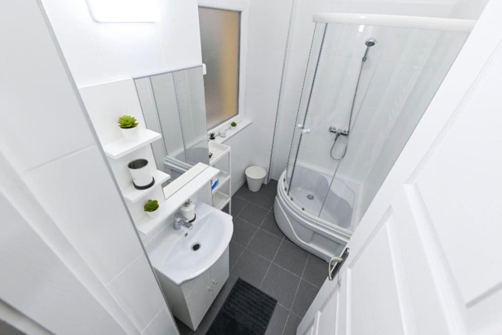 Lovely Studio Flat In Damjanich Street - Leonard ブダペスト エクステリア 写真